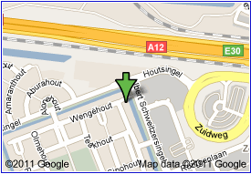Wengehout